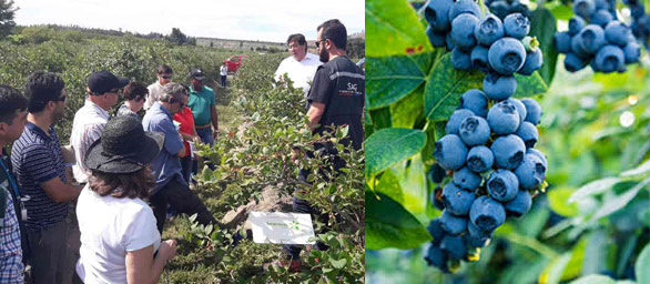 Autoridades del SAG se reúnen con Delegación del Departamento de Agricultura de EE. UU.